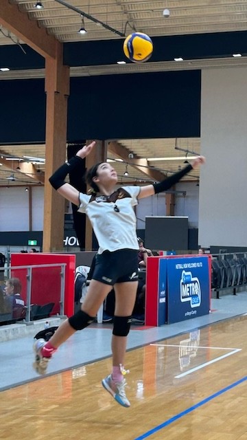 Volleyball